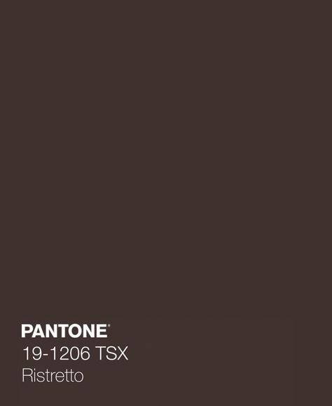 Pantone Chocolate Brown, Ipad Design, Dusty Brown, Cinnamon Color, Color Pallete, Skin Colour, Color Board, Personal Aesthetic, Brown Wallpaper