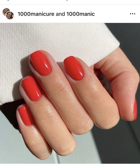 Spring Short Nails, Red Orange Nails, Vacation Nail Art, Vacation Nail Designs, Short Red Nails, Red And Gold Nails, Bright Red Nails, Cute Nail Colors, Pedicure Colors