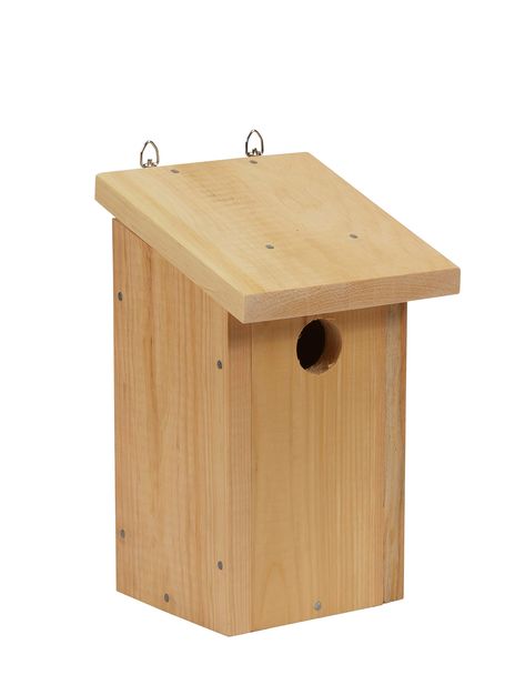 PRICES MAY VARY. EASY ASSEMBLY - Kit includes instructions and all fasteners. PROTECT BLUEBIRDS - The bluebird population has been in severe decline since the 1970's due to reduction in habitat. A GARDENER'S BEST FRIEND - A voracious consumer of insects and pests; the bluebird is a beneficial bird. PAINT OR STAIN - Leave the birdhouse darken naturally or you can paint/stain as preferred. DIMENSIONS: Assembled bird house measures 12" High x 7" Deep x 7" Wide EASY ASSEMBLY - Kit includes instructi Bluebird House, Bird House Plans, Outdoor Decor Backyard, Backyard Birds, Paint Stain, Kit Homes, Bluebird, Birdhouse, Bird Houses