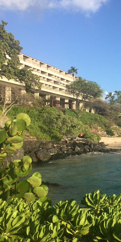 Play in the turquoise waters of Kauna’oa Bay or just feel the sand between your toes. The choice is yours at Mauna Kea Beach Hotel. 🌤️ ------------- #hawaii #beaches #resort #resorts #vacation #travel Mauna Kea Beach Hotel, Key West Hotels, Hotel Light, Hawaii Hotels, Marriott Resorts, Big Island Hawaii, Bucket List Destinations, Hawaii Island, Holiday Inn