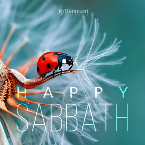 From His creation to His Sabbath rest, the Creator’s design is perfect. Happy Sabbath Quotes, Happy Sabbath Images, Sabbath Quotes, Shabbat Shalom Images, Sabbath Rest, Happy Sabbath, Shabbat Shalom, Pentecost, S Design