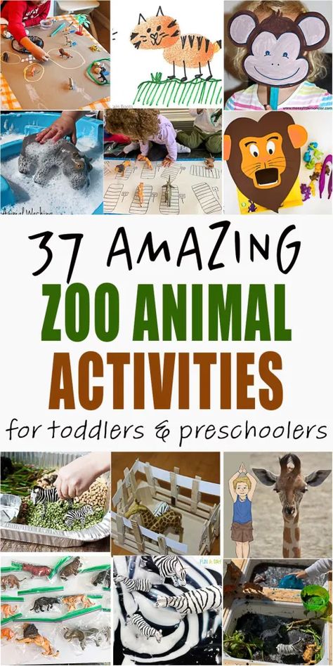 Eyfs Zoo Activities, Zoology Activities For Preschool, Animals Unit Kindergarten, Pre K Animal Activities, Animal Planet Activities For Preschool, Zoo Animals Preschool Activities Art Projects, Zoo Animals Preschool Activities Science, Zoo Hands On Activities, Zoo Day At School