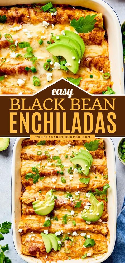 Need a quick and easy meal? This family dinner recipe is sure to become a weeknight favorite! With just 5 ingredients, you can have these vegetarian Black Bean Enchiladas that are cheesy, hearty, and… Meatless Friday Dinners, Easy Vegetarian Weeknight Dinners, Quick Meatless Dinners, Vegetarian Recipes Dinner Easy, Vegeterian Ideas Easy Recipes, Bean Enchiladas Vegetarian, Enchiladas Vegetarian, Vegetarian Casseroles, Vegetarian Enchiladas Recipe