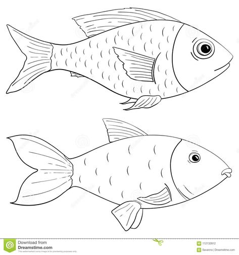 Pictures Of Fish To Draw, 3d Fish Drawing, Fish Pictures Drawing, Fish Outline Printable, Fish Drawings Easy, Fish Outline Drawing, How To Draw A Fish, Simple Fish Drawing, Fish Drawing Simple