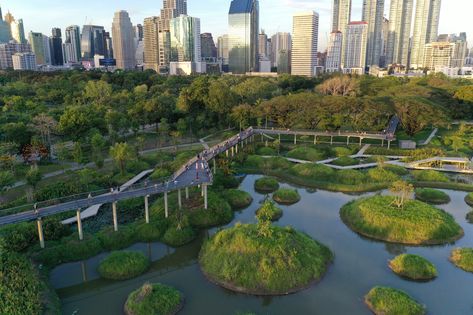 Sponge City, Wetland Park, Landscape And Urbanism, Chicago Architecture, Urban Park, Cultural Architecture, Education Architecture, Town Center, Parking Design