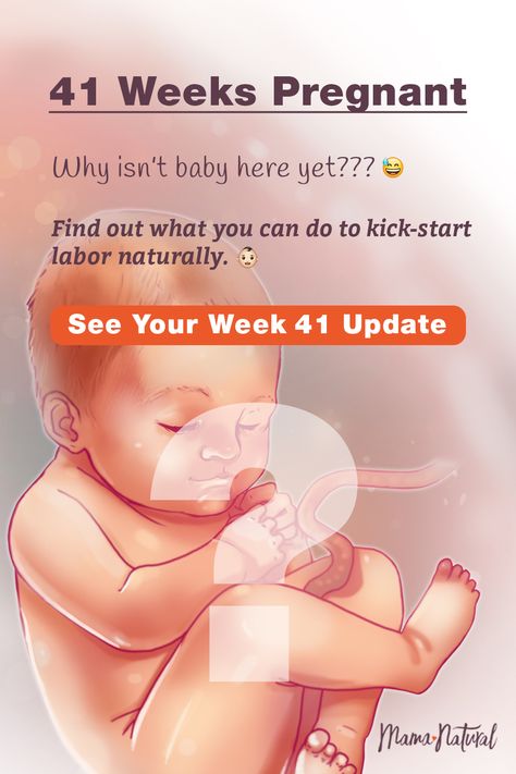 42 Weeks Pregnant, Pregnancy Symptoms By Week, Prenatal Diet, Pregnant Life, 40 Weeks Pregnant, 39 Weeks Pregnant, Third Trimester Pregnancy, Pregnancy Week, Pregnancy Guide