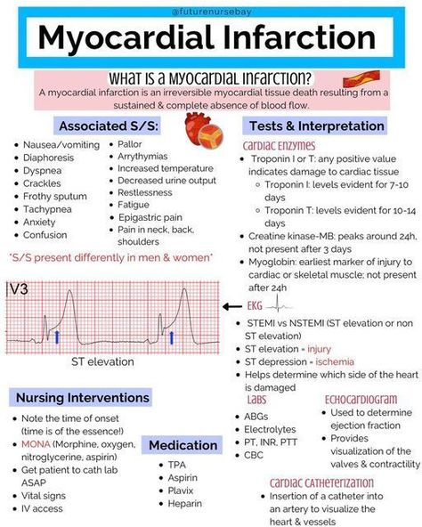 Cath Lab Nursing, Emt Study, Medical Terminology Study, Sistem Pencernaan, Nursing School Essential, Nursing School Motivation, Medical School Life, Basic Anatomy And Physiology, Nurse Study Notes