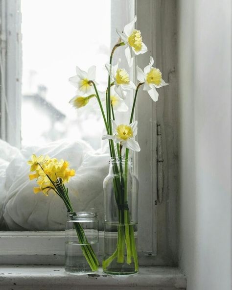 yellow daffodils Flower Cottage, Yellow Daffodils, Birth Flowers, Daffodils, Glass Vase, Oil Painting, Vase, Yellow, Glass