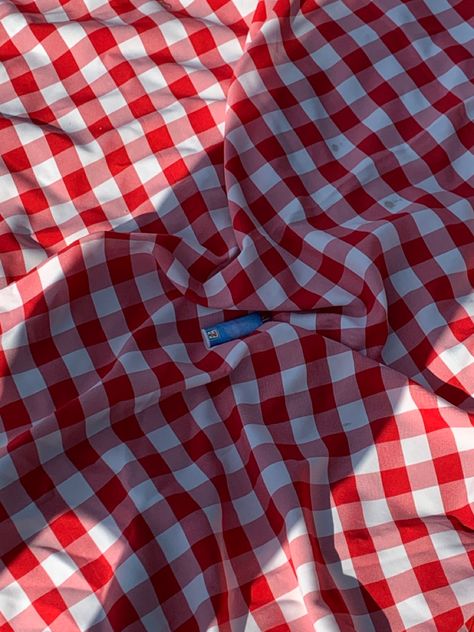 #checkered #red #gingham #lighter #aesthetic Picnic Blanket Aesthetic, Red Picnic Blanket, Checkered Picnic Blanket, Lighter Aesthetic, Blanket Aesthetic, Red Picnic, Strawberry Party, Red Checkered, Red Gingham