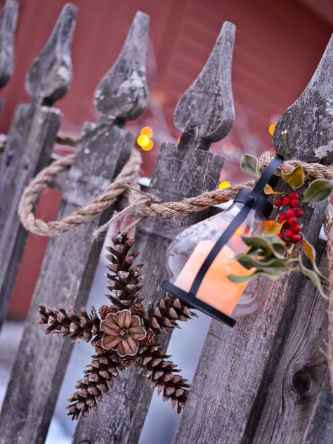 Pinecone Stars - 5 white pine cones wired together, with the end of another cone in the center - Karin Lidbeck: Outdoor Spaces, Winter Lights, Snow! White Pine Cone, Winter Garland, Christmas Pine Cones, Pine Cone Decorations, Cones Crafts, Cottage Christmas, Pine Cone Crafts, Navidad Diy, Winter Light