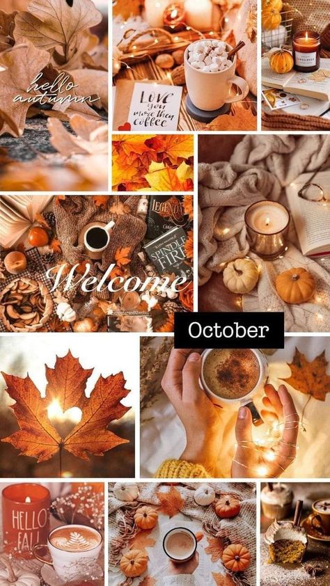 Fall Season Pictures, October Hello, Starbucks Food, Welcome October, Fall Backgrounds Iphone, October Wallpaper, Halloween Wallpaper Cute, Girl Wallpapers, Girly Wallpapers