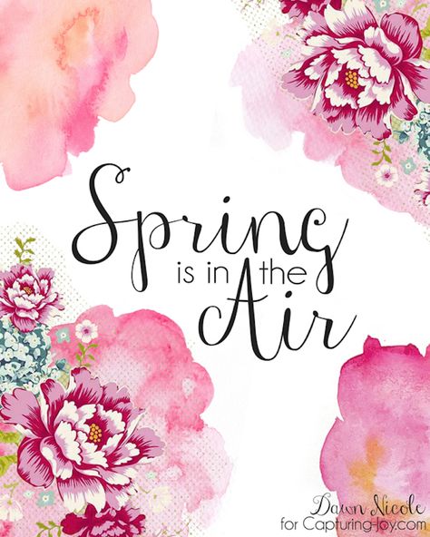 the only thing better than finding free artwork for your home is spending the night curled upon the couch watching Elementary and finding free printables Spring Printables Free, Spring Quotes, Spring Printables, Easter Prints, Spring Is In The Air, First Day Of Spring, Spring Art, Welcome Spring, Spring Is Coming