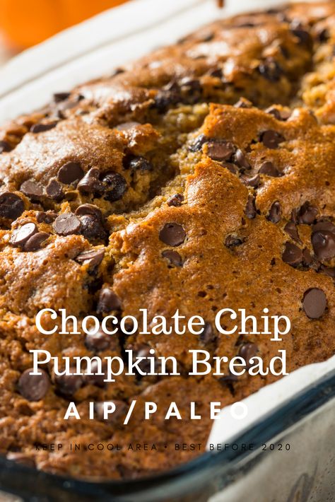 AIP/Paleo chocolate chip pumpkin bread delicious seasonal bread Aip Pumpkin, Autoimmune Diet Recipes, Aip Diet Recipes, Chocolate Pumpkin Bread, Best Pumpkin Bread Recipe, Autoimmune Recipes, Bread Chocolate, Pumpkin Bread Easy, Autoimmune Paleo Recipes