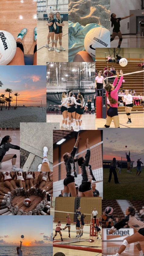 Volleyball aesthetic collage Volleyball Images, Volleyball Backgrounds, Volleyball Aesthetic, Volleyball Photography, Volleyball Wallpaper, Volleyball Humor, Volleyball Inspiration, Volleyball Workouts, Cute Ferrets