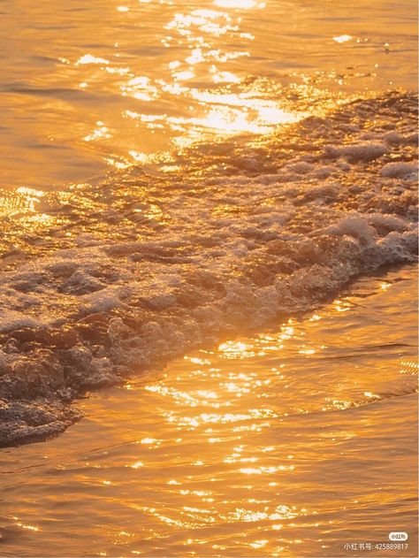 Background Inspiration, Gold Sunset, Dark Naturalism, Tropical Orange, Golden Time, Gold Beach, Golden Beach, Gold Aesthetic, Shades Of Gold