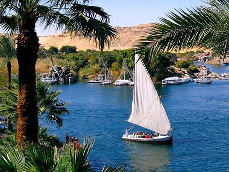 Egypte Aswan Felluca on Elephantine Island on the Nile 2006 Cairo Hotel, Water Bubbles, The Nile, Luxor, Cairo, Egypt, Water, Travel