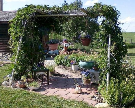 Flea Market Gardening, Backyard Trampoline, Garden Vines, Backyard Playground, Have Inspiration, Garden Trellis, Swing Set, Garden And Yard, Arbor