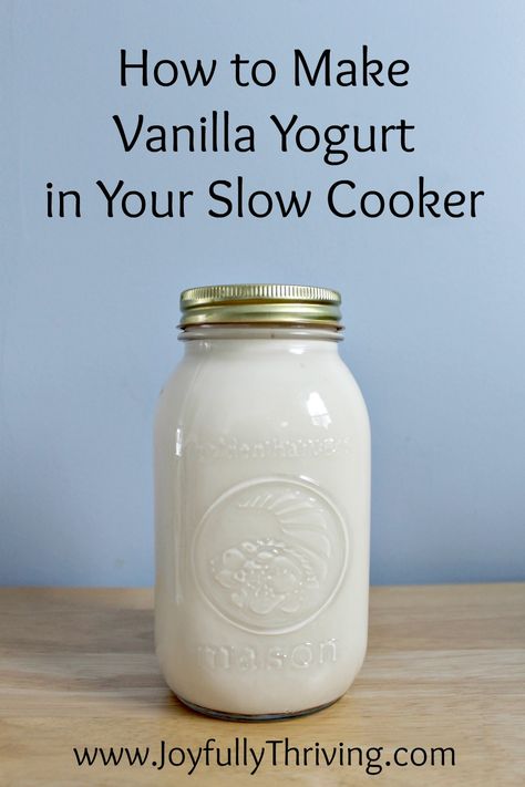 Here's a simple and frugal way to make delicious vanilla yogurt in your slow cooker. I am saving so much money by making my own yogurt and it is really easy! Homemade Vanilla Yogurt, Homemade Yogurt Recipes, Mango Desserts, Thick Yogurt, Banana Smoothie Bowl, Way To Save Money, Homemade Yogurt, Yogurt Recipes, Crock Pot Slow Cooker