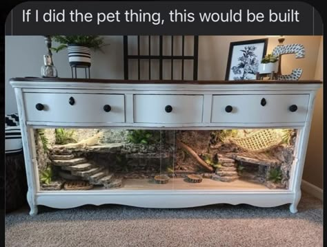 Tartaruga Habitat, Snake Tanks, Diy Bearded Dragon Enclosure, Dragon Terrarium, Bearded Dragon Terrarium, Pet Enclosures, Snake Enclosure, Diy Moss, Snake Tank