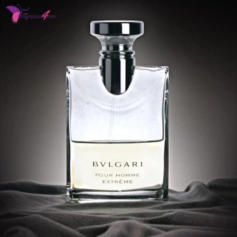 'Bvlgari Pour Homme Extreme' is a new and vibrant interpretation of 'Bvlgari Pour Homme', the ultimate expression of refined and timeless masculine elegance. Picture Credits: @Pinterest #BvlgariPerfume #Extreme #Bulgari #BvlgariExtreme #Bvlgari #BvlgariPourHommeExtreme #BvlgariParfums #ShareTheWonder #IBelieveInWonder #BulgariParfums #EDT #LuxuryScents #Floral #Fragrances4ever #Fragrance Bvlgari Pour Homme Extreme, Bulgari Perfume, Bvlgari Pour Homme, Bvlgari Extreme, Bvlgari Perfume, Masculine Elegance, Men's Cologne, Picture Credit, Luxury Fragrance