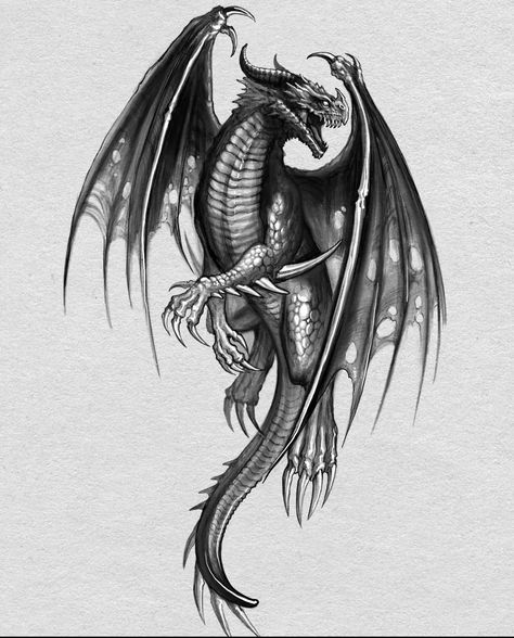 Dragon Tattoo Bicep, Dragon Tattoo Stencil, Indian Skull Tattoos, Black Dragon Tattoo, Dragon Medieval, Dragon Tattoo Drawing, Dragon Tattoo Arm, Celtic Dragon Tattoos, Dragon Tattoo Sketch