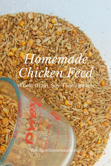 You will need: – 12 cups organic, feeder oats (.34 cents/lb) – 8 cups organic, soft white wheat (.38 cents/lb) – 8 cups organic, hard red… Home Made Chicken Food, Diy High Protein Chicken Feed, Homemade Chicken Feed Cheap, Chicken Feed Mix Recipe, Homemade Chicken Feed For Layers, Chicken Feed Recipe, Chicken Layer Feed, Homesteading Chickens, Homemade Chicken Feed