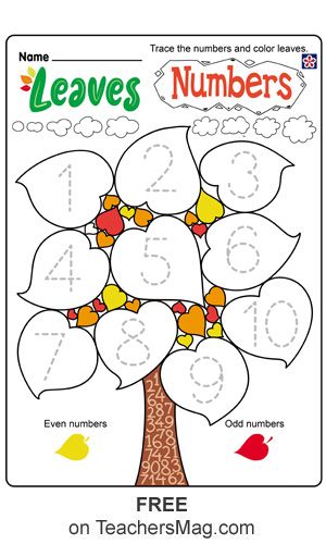 To do this worksheet students can trace the numbers and then color the leaves that are even number yellow and odd numbers red. Fall Number Tracing, Kindergarten Fall Worksheets, Fall Preschool Worksheets, Fall Worksheets, Fall Preschool Activities, Fall Math, Fall Kindergarten, Kindergarten Worksheets Printable, Printable Preschool Worksheets