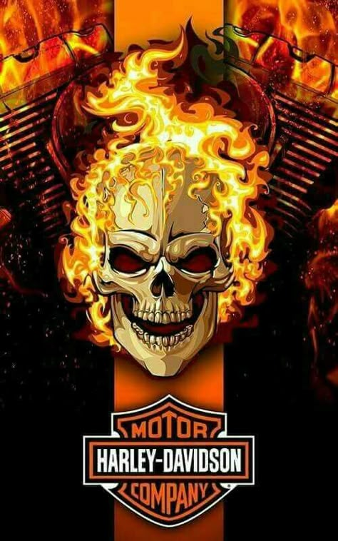 Fire the engines... Harley Davidson Kunst, Art Harley Davidson, Motocykle Harley Davidson, Logo Harley Davidson, Harley-davidson Sportster, Harley Davidson Night Train, Harley Davidson Decals, Harley Davidson Shirts, Harley Tattoos