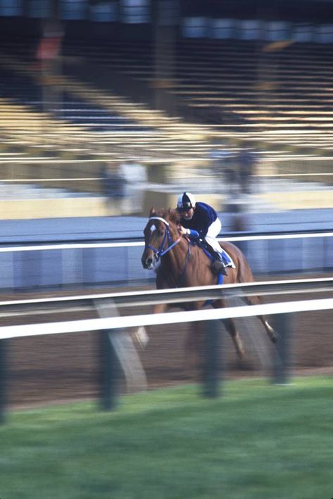 Secretariat Horse, Horse Racing Track, Faster Horses, Race Photography, Thoroughbred Racehorse, Equestrian Aesthetic, The Great Race, Thoroughbred Horse Racing, Belmont Stakes