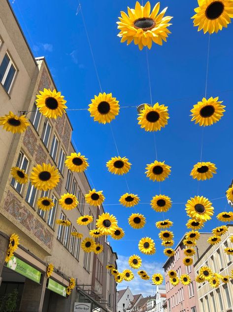 Sunflower Ceiling Decoration, Summer Aesthetic Decor, Flower Festival Ideas, Sunflower Haldi Decor, Sunflower Decorations Party, Festival Decorations Outdoor, Hanging Sunflowers, Summer Festival Aesthetic, Sunflowers Decor