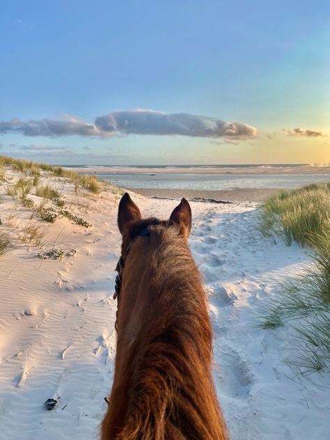 View from a horse’s back riding onto the beach in Cape Town Horse Beach Aesthetic, Horse On Beach Aesthetic, Horses At The Beach, Horse Riding On Beach, Wallpaper Cape, Coastal Equestrian, Horse Wallpaper Aesthetic, Horse Riding Beach, Horse At The Beach