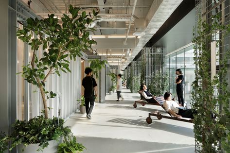 Gallery of Biophilic Offices: Landscape and the Working Environment - 28 Yokohama, Innovation Center, Green Office, Schematic Design, Innovation Centre, Interior Plants, Green Design, Office Building, Public Space