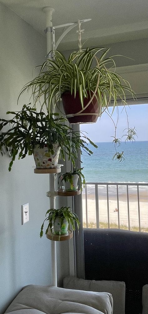 Can't take credit - followed directions from another Pin (search tension rod plant stand). Very easy. Covered up the conduit hanger clips with matching color electric tape and then macrame cord. Used a shelf bracket for my hanging plant. Pole Plant Stand, Diy Macrame Plant Hanger Easy, Plant Hanger Bracket, The Conduit, Tension Rods, Pin Search, Diy Macrame Plant Hanger, Apartment Bedroom Decor, Hanger Clips