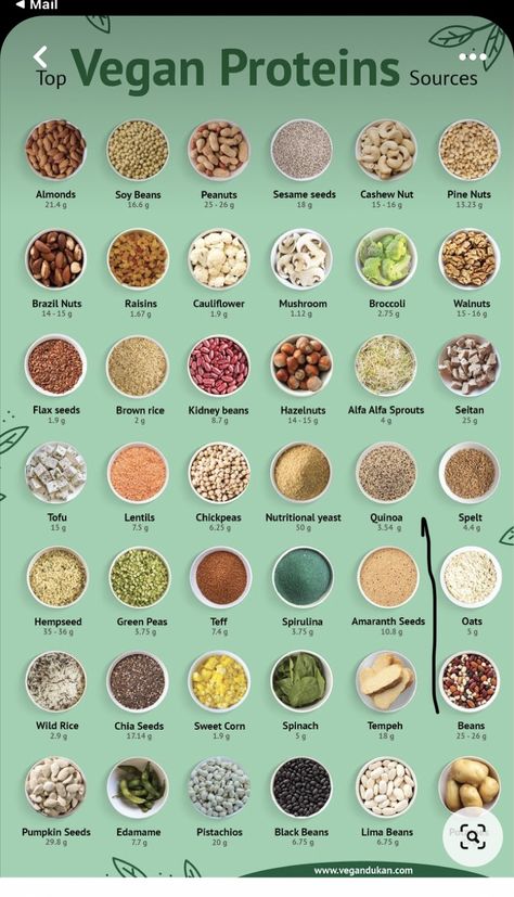 Vegan Protein Sources, High Protein Vegan Recipes, High Protein Vegan, Vegan Nutrition, Vegan Meal Plans, Tasty Vegetarian Recipes, Vegan Meal Prep, Think Food, Diet Vegetarian