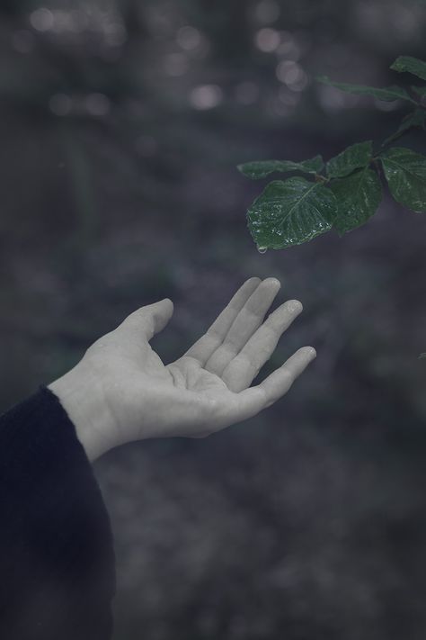 Closeup photograph of a woman's hand with one finger almost touching a drop of rain that has formed at the end of a leaf Alice Core, Lost In The Woods, Aesthetic Dark, Rain Drops, The Clouds, Dark Aesthetic, Portrait Photography, Photo And Video, Instagram Photos