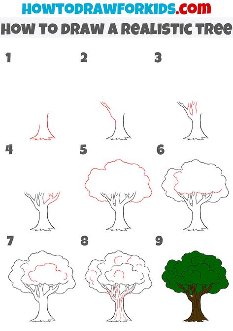 Tree Drawing For Kids, Trees Drawing Tutorial, Tree Drawing Simple, Tree Drawings Pencil, Cartoon Trees, Picture Tree, Simple Tree, Tree Sketches, Basic Drawing