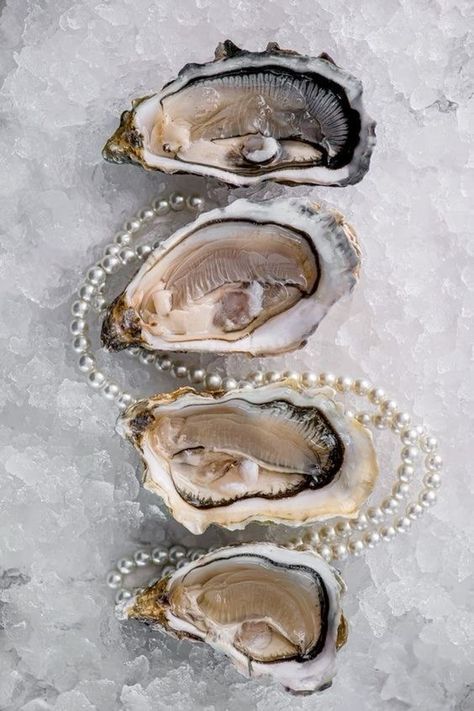 Oyster Photoshoot, Clam Photography, Mermaid Dinner, Seashell Aesthetic, Pearl Core, Pearl Aesthetic, Food Art Photography, Oyster Pearl, Arte Inspo