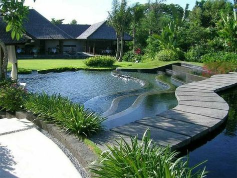 Clara, anak terakhir dan satu-satunya perempuan diantara abang dan se… #fiksipenggemar # Fiksi Penggemar # amreading # books # wattpad Swimming Pool With Waterfall, Pool With Waterfall, Tanaman Air, Modern Water Feature, Taman Air, Minimalist Garden, Natural Swimming Pools, Flower Garden Design, Natural Swimming Pool