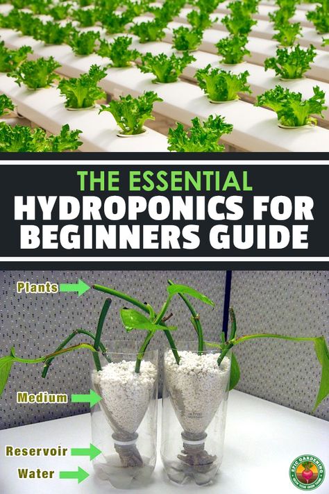 Homemade Hydroponic System, Homemade Hydroponics, Hydroponic Gardening Diy, Indoor Hydroponic Gardening, Hydroponic Gardening System, Home Hydroponics, Hydroponic Vegetables, Hydroponic Grow Systems, Aquaponics Greenhouse