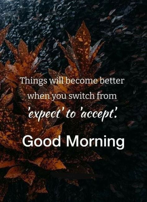 Positive Good Morning Messages, Good Morning Meaningful Quotes, Beautiful Good Morning Quotes, Good Morning Quotes Friendship, Good Morning Sun, Quotes To Start Your Day, Daily Wishes, Good Morning Motivation, Html 5