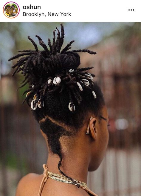 Cowrie shell dreads Style Braids Box Hairstyles, Single Braids Hairstyles, Black Baby Hairstyles, Braided Chignon, Cornrow Braids, Natural African American Hairstyles, Traditional Hairstyle, Chignon Hair, Beautiful Black Hair