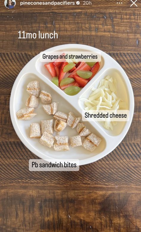 Meal Prep For 16 Month Old, Infant Daycare Lunch Ideas, Healthy Snacks For 10 Month Old, Meal For One Year Old, Snack Ideas For 1 Year Baby, Meals For My One Year Old, Healthy Blw Meals, First Birthday Meal Ideas, Baby Meals 6 Month Old