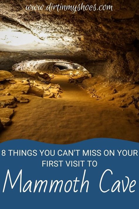 Mammoth National Park, Things To Do Near Mammoth Cave Kentucky, Mamouth Cave National Park, Mammoth Cave National Park With Kids, Mammoth Caves Kentucky, Mammoth Caves National Park, Things To Do In Mammoth, Kentucky Mammoth Cave National Parks, Cave City Kentucky