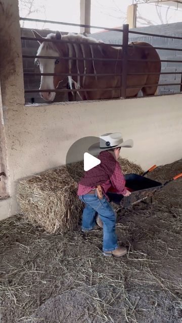 Funny Horses Videos, Cavalli Video, Cuddle Animals, Animal Keeper, Funny Farm Animals, Cowboy Humor, Kids Humor, Animal Farming, Farm Humor