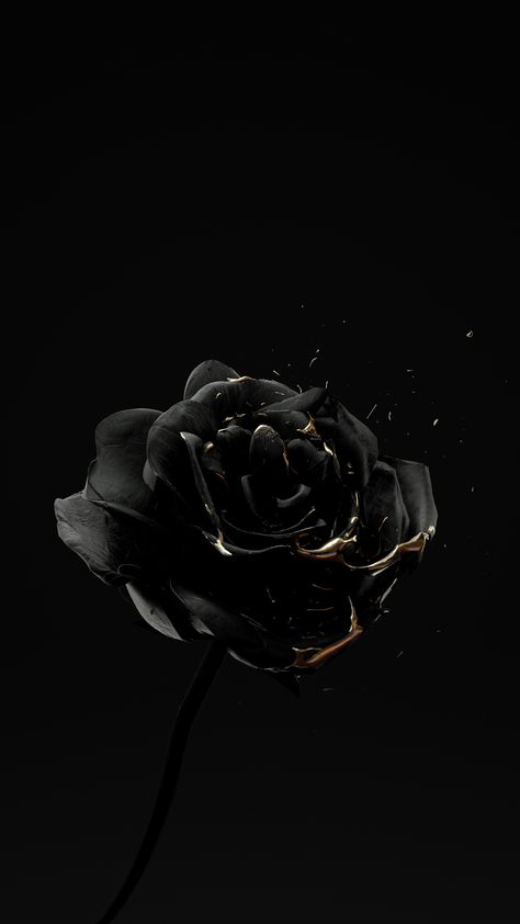 Black And Gold Aesthetic, Black And White Photo Wall, Black And White Picture Wall, Cute Black Wallpaper, Black Phone Wallpaper, Dark Phone Wallpapers, Gold Aesthetic, Black Wallpaper Iphone, Iphone Wallpaper Tumblr Aesthetic