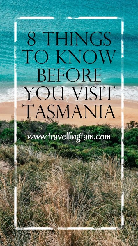 Yes, Tasmania may not be the most obscure and unknown travel destination in the world but just like any new place, there are plenty of quirks that are always useful to familiarise yourself with before you visit.   So before you pack your bags or book that ticket, here are some important and useful things you need to know before you visit Tasmania. Tasmania Road Trip, Scuba Diving Australia, Tasmania Travel, Australian Road Trip, Australia Backpacking, Australian Beach, Useful Things, Visit Australia, New Place