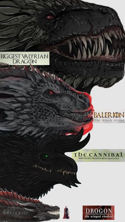 Dragon Sizes #dragons #asoiaf #houseofthedragon #gameofthrones #drogon #balerion Dragons Asoiaf, Balerion The Black Dread, Smaug Dragon, Daenerys Targaryen Art, Drogon Game Of Thrones, Dibujos Anime Chibi, Game Of Thrones Artwork, Game Of Thrones Dragons, Dragon House