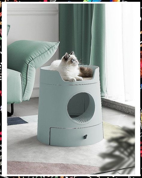 Cat Bowls - With new great products releasing everyday, visit to discover what you have been searching for. DO IT TODAY! Cat Castle, Donut Cat, Modern Cat, Little Kittens, Little Prince, Front Entry, Cat Room, Cat Litter Box, Cat Treats