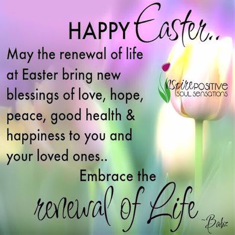 Easter Wishes Messages, Easter Inspirational Quotes, Happy Easter Messages, Happy Easter Pictures, Happy Easter Quotes, Easter Prayers, Happy Easter Sunday, Happy Easter Greetings, Easter Messages