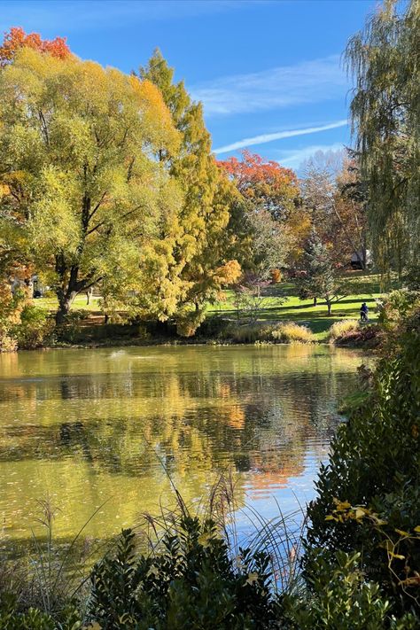 Things to do in fall in Boston: Mount Auburn Cemetery is the first garden cemetery in the United States. #fall #boston #cambridge #massachusetts things to do fall travel inspo #fallaesthetic #aesthetic #newenglandfall fun places to go spooky season nature photography #travelphotography Fall In Boston, Fall Boston, Boston Bucket List, Things To Do In Fall, Massachusetts Aesthetic, Cambridge Boston, First Garden, Cambridge Massachusetts, New England Fall